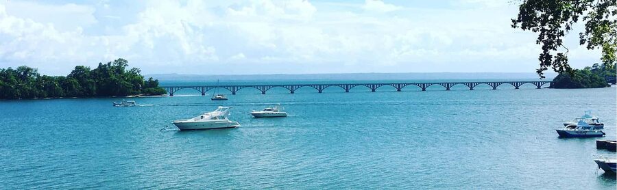 Punta Cana: Samaná Whale Watching, Bacardi & Limon Falls - Who should book this day trip (and who should skip it)