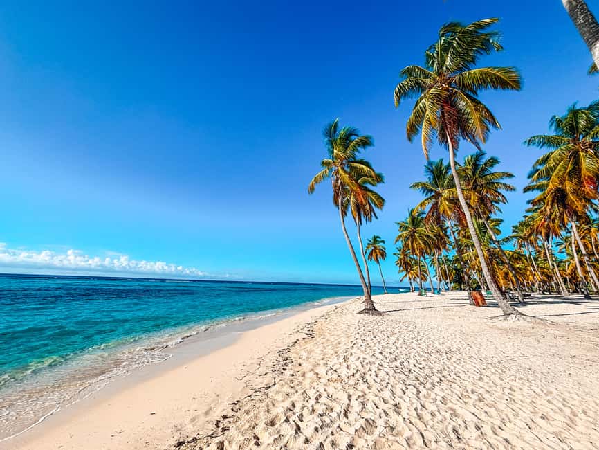 Punta Cana: Saona Crusoe VIP - Key highlights worth your time