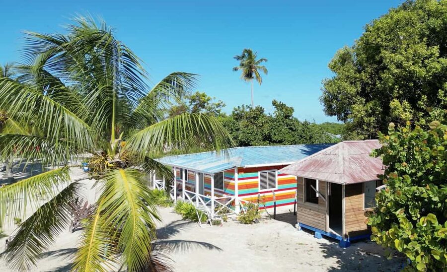 Punta Cana: Saona Crusoe VIP - Mangroves in the National Park: learn the ecosystem, then look for turtles