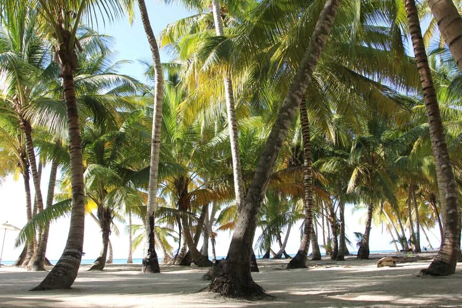 Punta Cana: Saona Island and Altos de Chavón Day Trip - Who should book this, and who should skip it