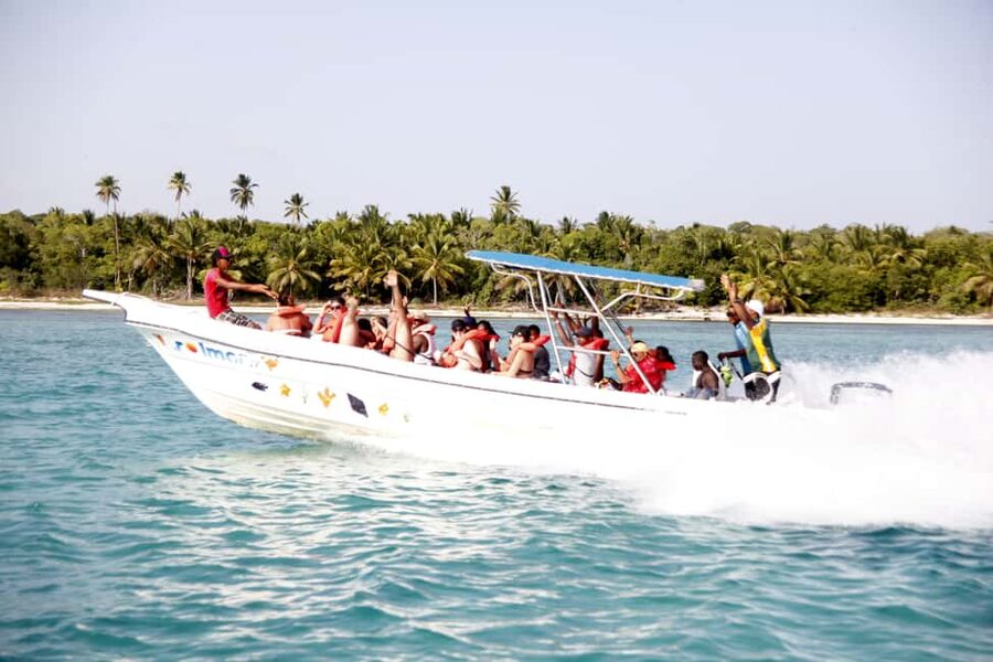 Punta Cana: Saona Island and Altos de Chavón Day Trip - The catamaran experience across Caribbean waters