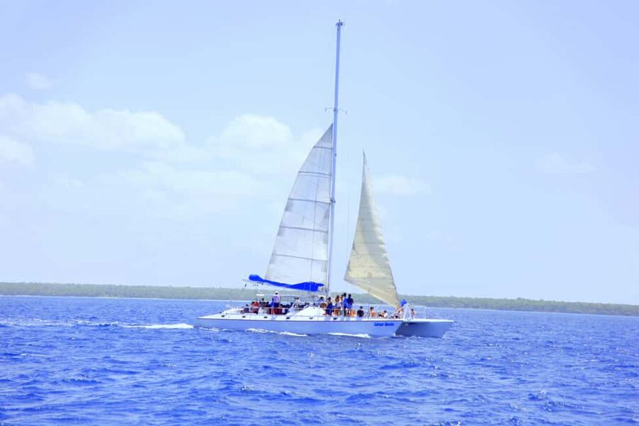 Punta Cana: Saona Island and Altos de Chavón Day Trip - Saona Island: East National Park beach time that feels like the main event