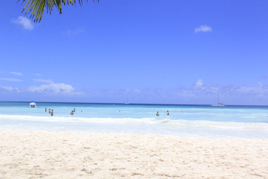 Punta Cana: Saona Island and Altos de Chavón Day Trip - Piscina Natural Saona: where you’ll test the water and look for starfish