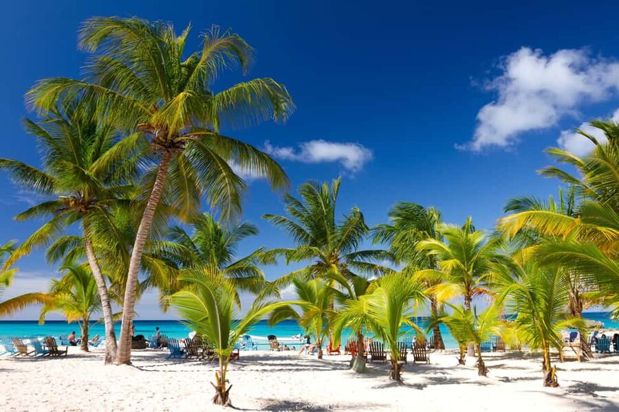 Punta Cana: Saona Island Catamaran Adventure with Lunch - The Drive and Pickup: The Part That Can Make or Break the Day