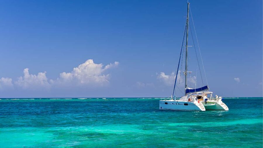 Punta Cana: Saona Island Catamaran Tour with Food & Open Bar - What it costs and why it can be fair value