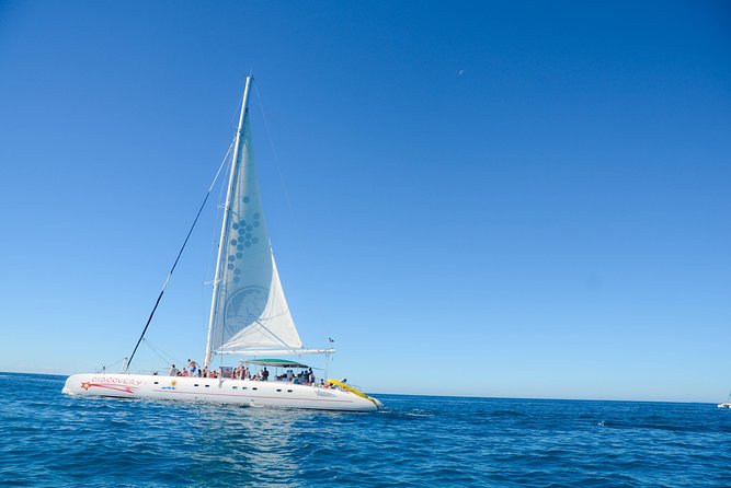 Punta Cana : Saona Island Day Tour - Key highlights to know before you go