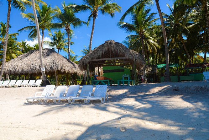 Punta Cana : Saona Island Day Tour - Playa Palmilla Natural Pool: the sand-to-water scenery stop