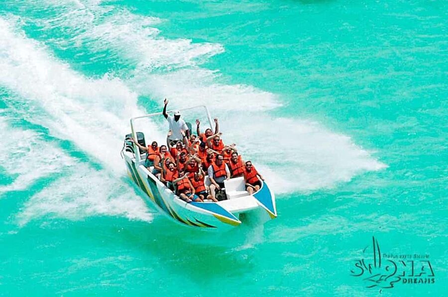 Punta Cana: Saona Island Day Tour and Catamaran Party - Lunch and food quality: what’s included and how to protect your day