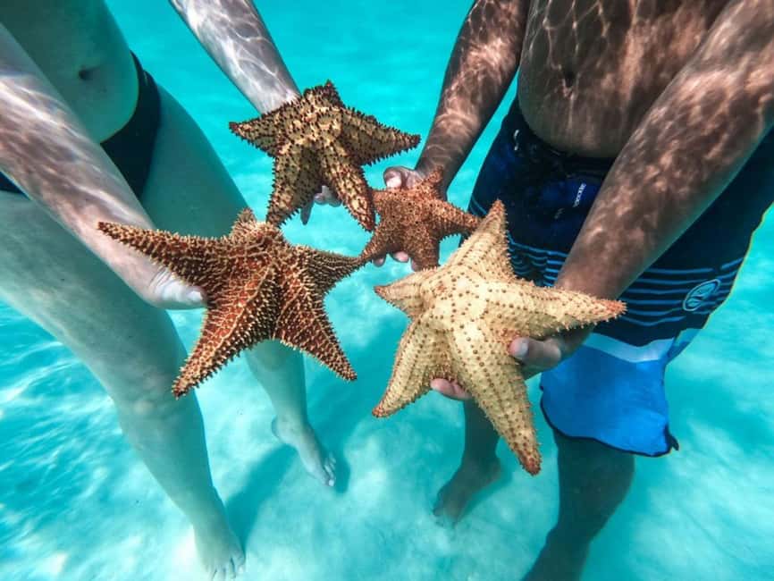 Punta Cana: Saona Island Day Tour and Catamaran Party - What to pack so the day feels easy