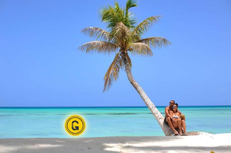 Punta Cana: Saona Island Day Tour and Catamaran Party - Getting from your hotel to Bayahibe (and why timing matters)