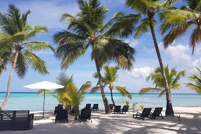 Punta Cana: Saona Island Food And Drink Catamaran Hotel Pickup - The 7:30 am start: why timing is part of the deal