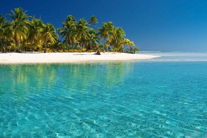 Punta Cana: Saona Island Food And Drink Catamaran Hotel Pickup - Snorkel gear included: how to make the most of the water time