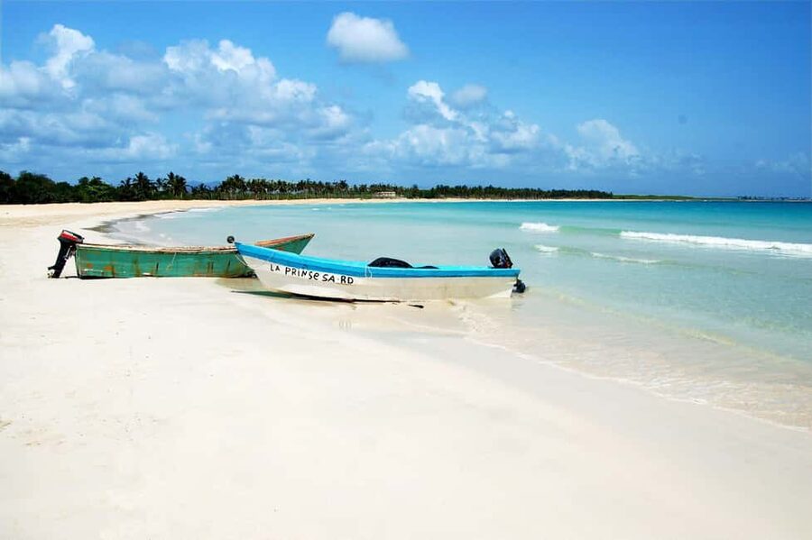 Punta Cana: Saona Island Full-Day Open Bar, Lunch & Transfer - Three Saona options: standard vs premium vs sunset party