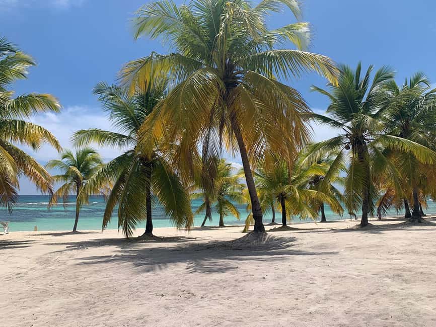 Punta Cana: Saona Island Premium 3 beaches - Why This Saona Island Day Feels Different From the Usual Trip