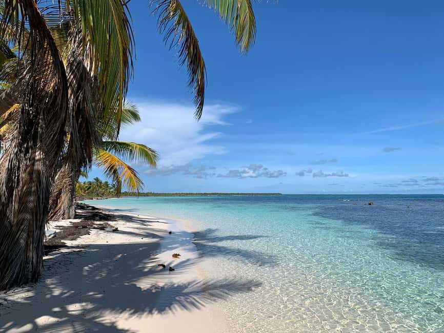 Punta Cana: Saona Island Premium 3 beaches - The Morning Flow: Pickup, Bus Time, and the Speedboat Moment