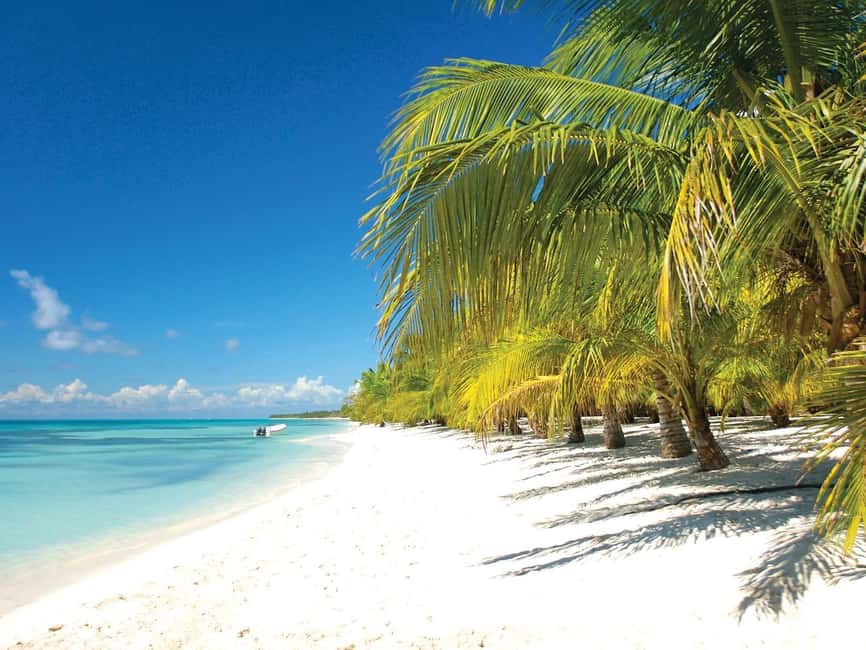 Punta Cana: Saona Island Speedboat and Catamaran Tour - From Punta Cana to Bayahibe: the day’s pacing