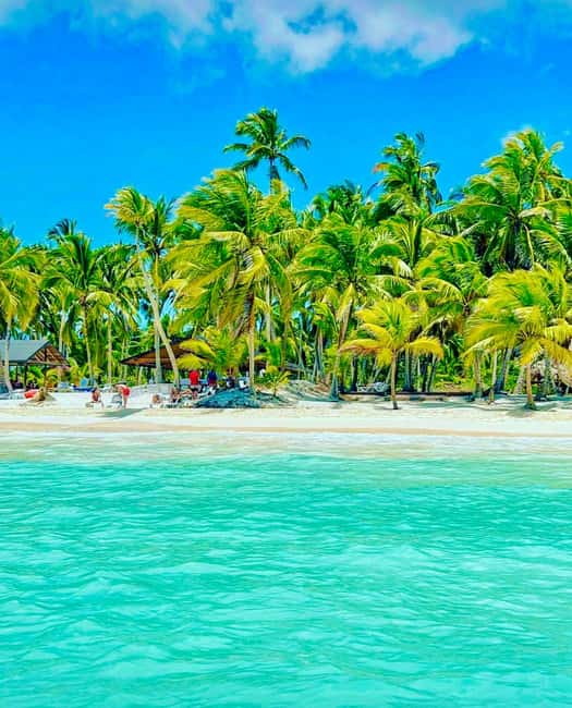 Punta Cana: Saona Island VIP | Private Beach, Open Bar & Lunch - Natural Pool (Piscina Natural): the famous stop and how to enjoy it