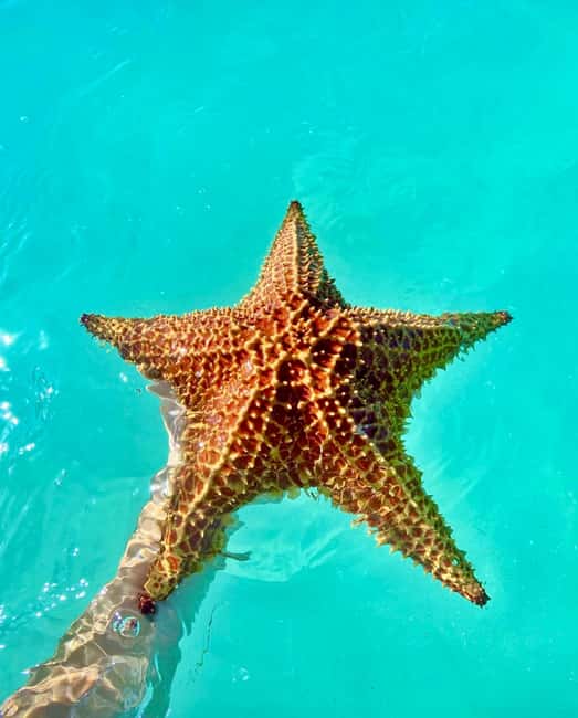 Punta Cana: Saona Island VIP | Private Beach, Open Bar & Lunch - Getting picked up in Punta Cana: locations that shape your day
