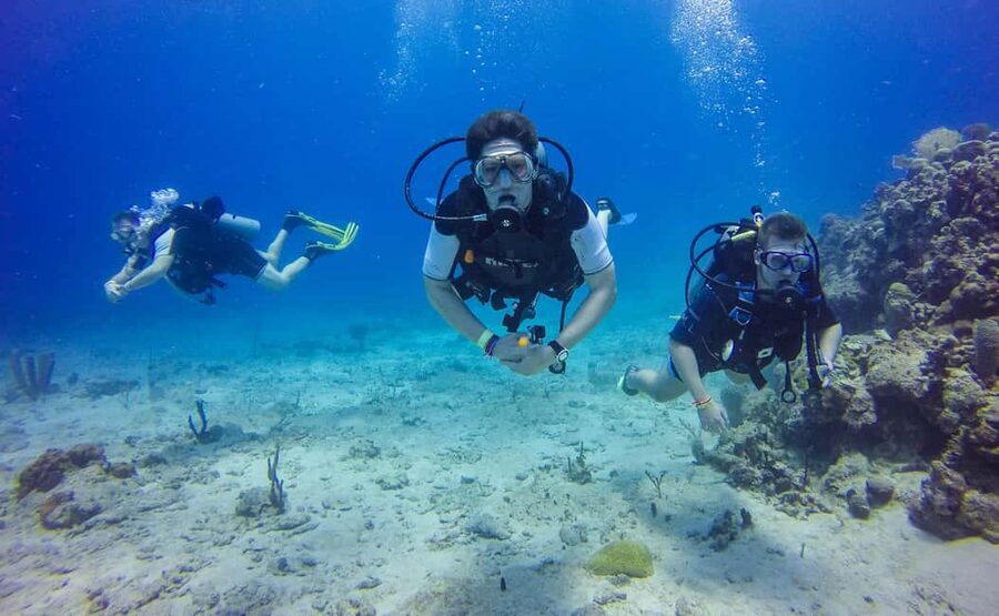 Punta Cana: Scuba Diving Adventure to Catalina Island - Punta Cana to Catalina Island: how the day really moves