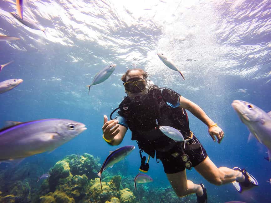 Punta Cana: Scuba Diving Adventure to Catalina Island - Gear, lifejackets, and the pre-trip briefing that keeps things smooth