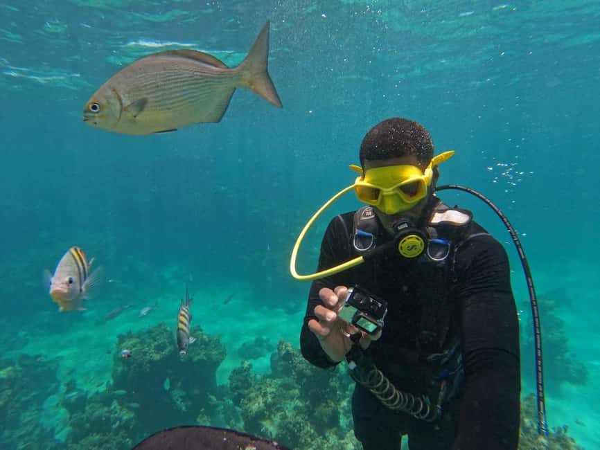 Punta Cana: Scuba Doo Adventure with Round-Trip Transfer - Small surprises: motion sickness, music levels, and dolphin stops