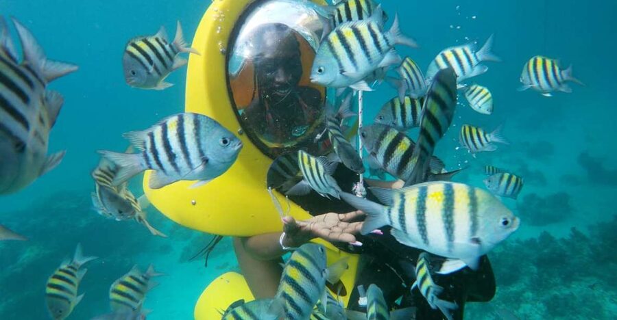 Punta Cana: Scubadoo Ocean Exploration Diving Adventure - Price and value: why about $76 can make sense