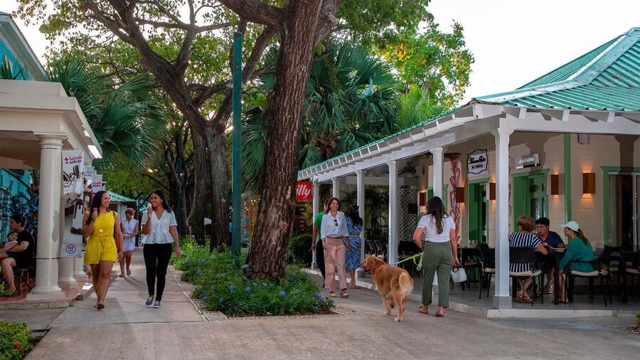 Punta Cana: Shopping Tour with Hotel Pickup and Drop-Off - Price and Value: Is $13 Worth It?