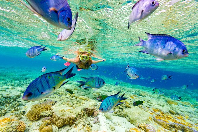 Punta Cana Snorkeling Cruise and Dune buggy Combo Adventure - Quick take on the Punta Cana buggy and catamaran combo