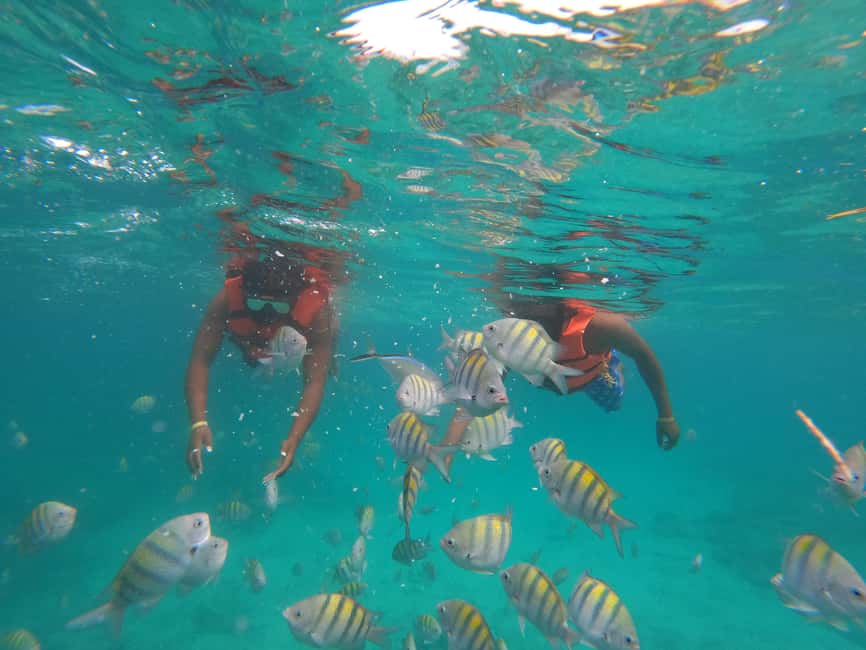 Punta Cana: Speed Boat Ride & Snorkel Adventure - Language mix and photo costs: two booking realities