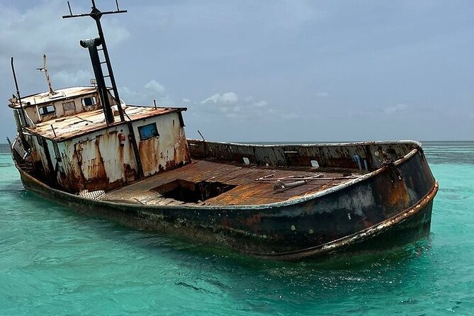 Punta Cana Speed Boat to Saona Island with Lunch & Natural Pools - Isla Saona Beach Time: Why Free Hours Are the Point
