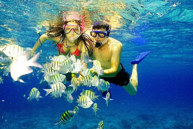 Punta Cana Speed Boat Tour and Snorkeling - SNUBA-Style Underwater Time: What You’re Actually Signing Up For