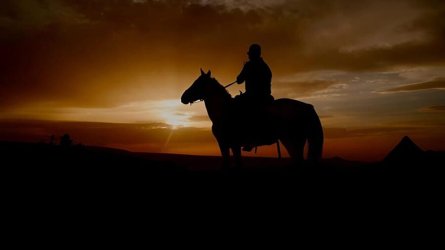 Punta Cana: Sunset Horseback Ride in Macao Beach and Forest - Languages and guide support: no guessing games