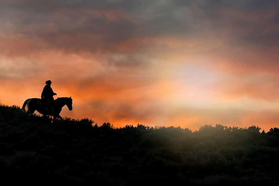 Punta Cana: Sunset Horseback Ride in Macao Beach and Forest - Punta Cana pickup and coach ride: getting there without stress