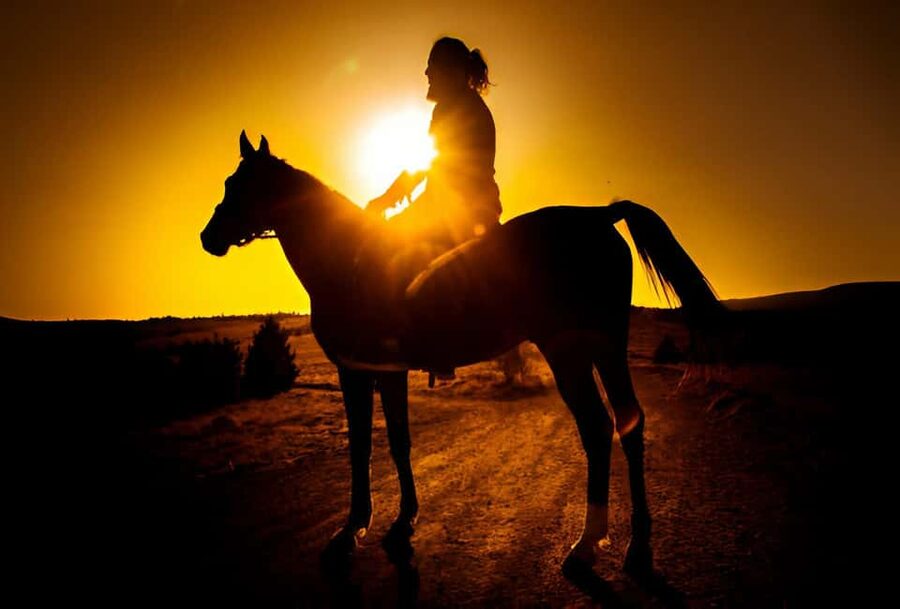 Punta Cana: Sunset Horseback Ride in Macao Beach and Forest - Through the forest: the ride rhythm you can expect