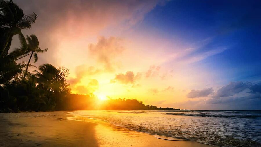 Punta Cana: Sunset Horseback Ride in Macao Beach and Forest - The complimentary shopping stop: souvenirs with a purpose