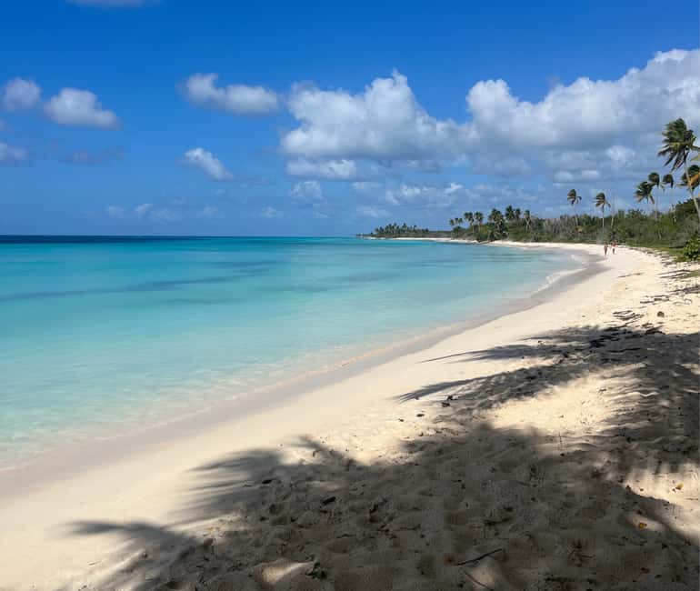 Punta Cana: Three Treasures of Saona - Palmilla, Pueblo & Canto de la playa - The Big Idea: Three Treasures of Saona in One 10-Hour Day