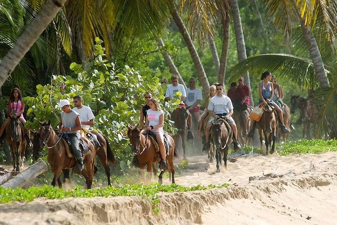 Punta Cana to Samana: El Limon Falls and Bacardi Island - The 7:00 am start: how the day fits together from Punta Cana