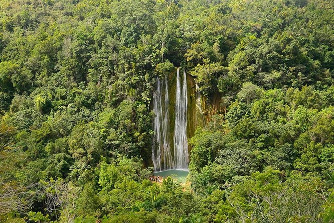 Punta Cana to Samana: El Limon Falls and Bacardi Island - Cascada Limon (El Limon Falls): 40 meters of payoff