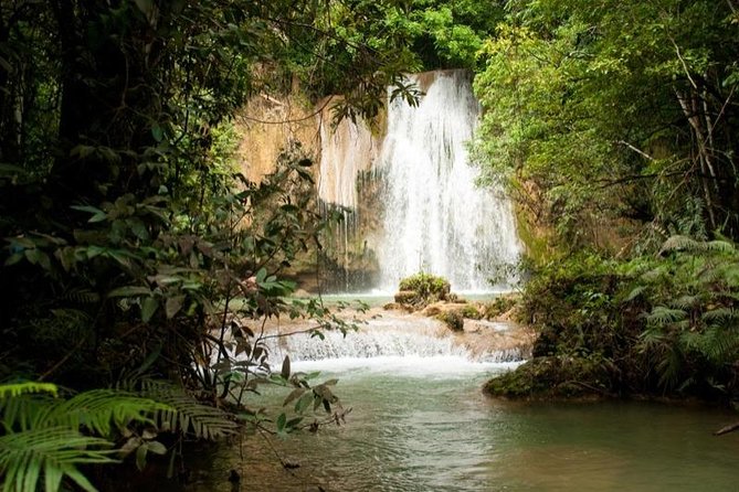 Punta Cana to Samana: El Limon Falls and Bacardi Island - Price and value: is $140 for an 8-hour day trip fair?