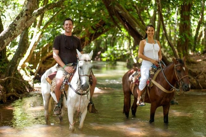Punta Cana to Samana: El Limon Falls and Bacardi Island - Who should book this Punta Cana to Samaná tour