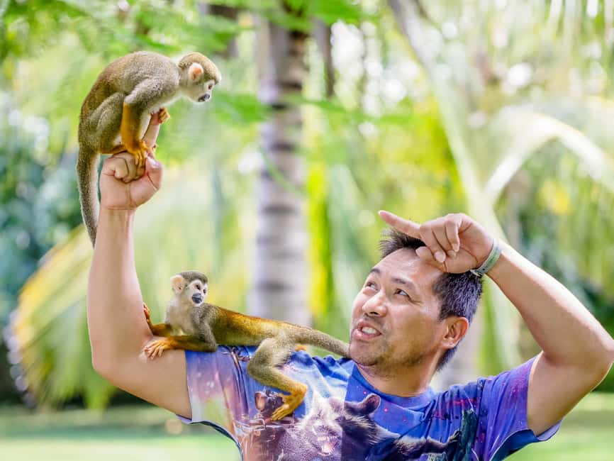 Punta Cana: Tour Monkey Adventure With Hotel Pick Up - Key things to know before you go