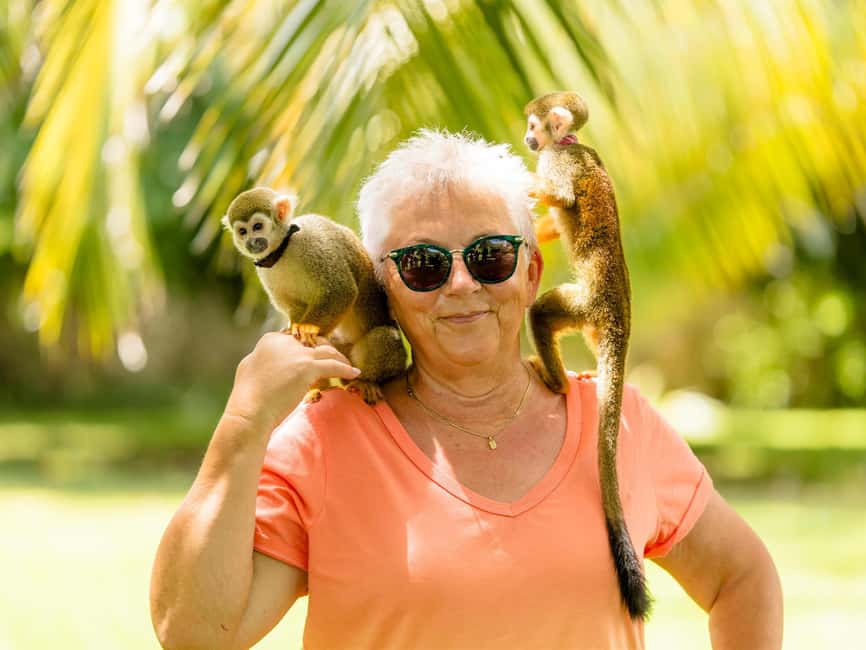 Punta Cana: Tour Monkey Adventure With Hotel Pick Up - Hotel pickup and the drive to La Altagracia