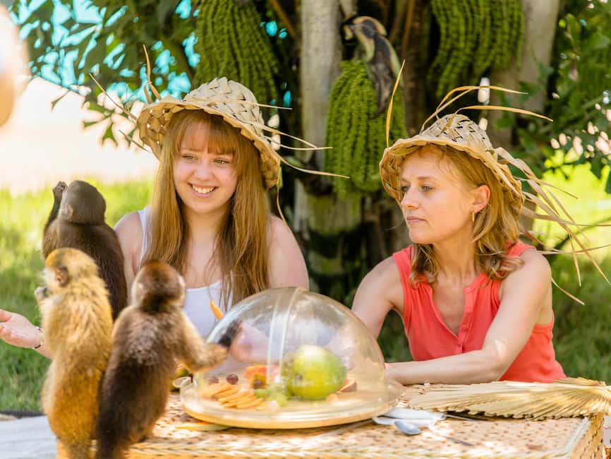 Punta Cana: Tour Monkey Adventure With Hotel Pick Up - Photo and video reality check: what it costs you to get the shot