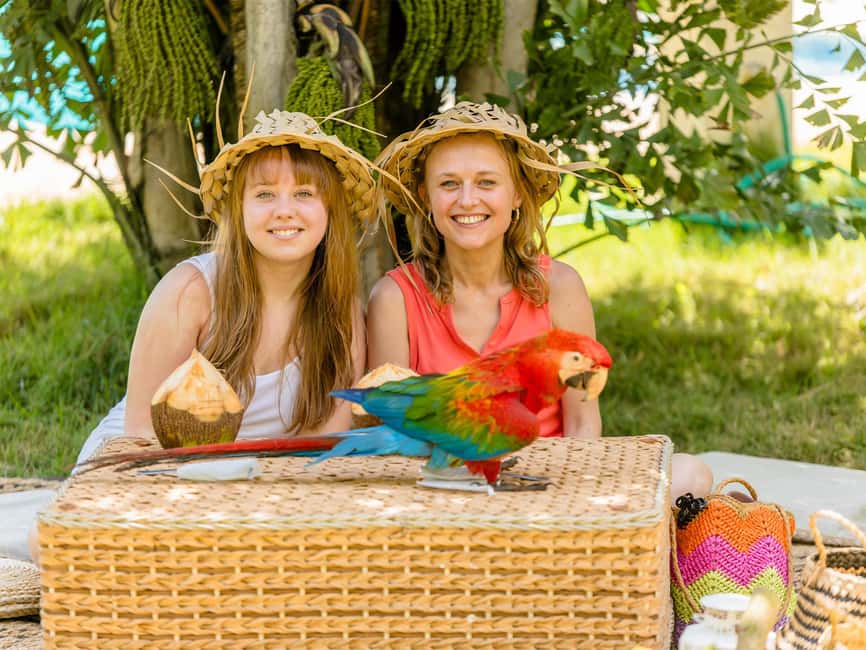 Punta Cana: Tour Monkey Adventure With Hotel Pick Up - Shopping stop: handmade souvenirs in Punta Cana’s world