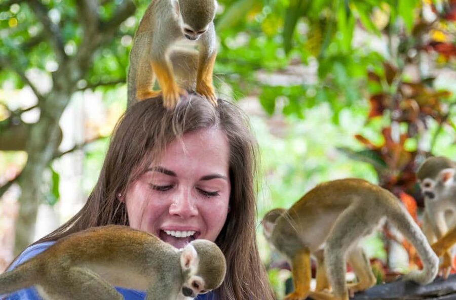 Punta Cana: Triple Jungle Adventure Park Tour with Tastings - Price and Value: Is $209 Worth It for Your Group?