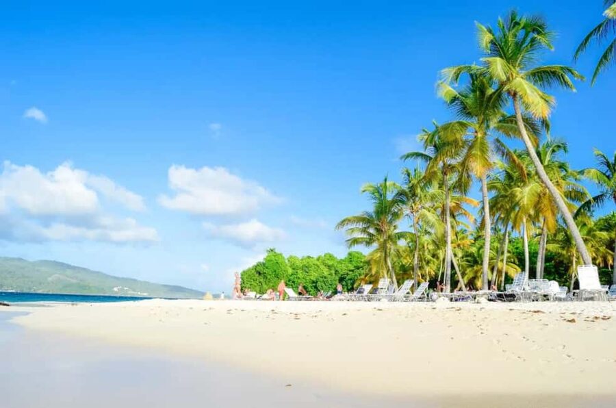 Punta Cana: Whale Watching, Cayo Levantado & Limon Waterfall - Key Things to Know Before You Go