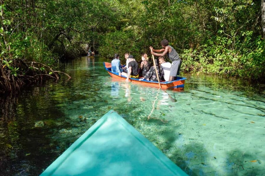 Punta Cana: Whale Watching, Cayo Levantado & Limon Waterfall - Safari Truck + Horse Ride to El Límon Waterfall