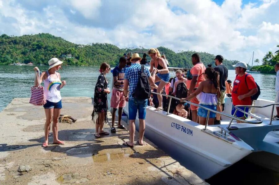 Punta Cana: Whale Watching, Cayo Levantado & Limon Waterfall - Whale Watching: How to Think About It Without Getting Burned