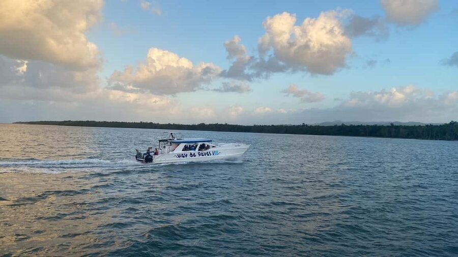 Punta Cana: Whale Watching, Cayo Levantado & Limon Waterfall - Price and Value: Is $160 a Good Deal?