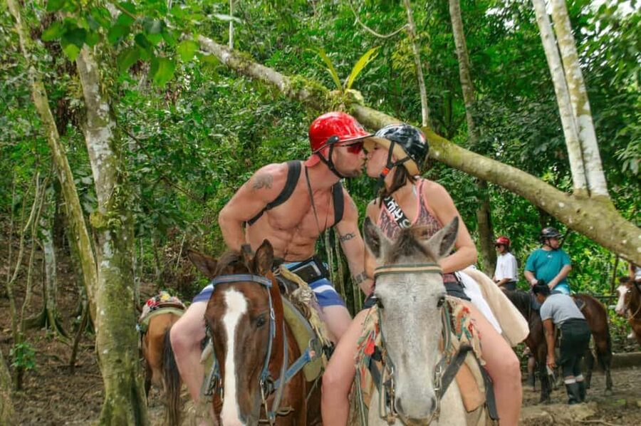 Punta Cana: Whale Watching, Cayo Levantado & Limon Waterfall - What to Bring (This Actually Matters on This Route)